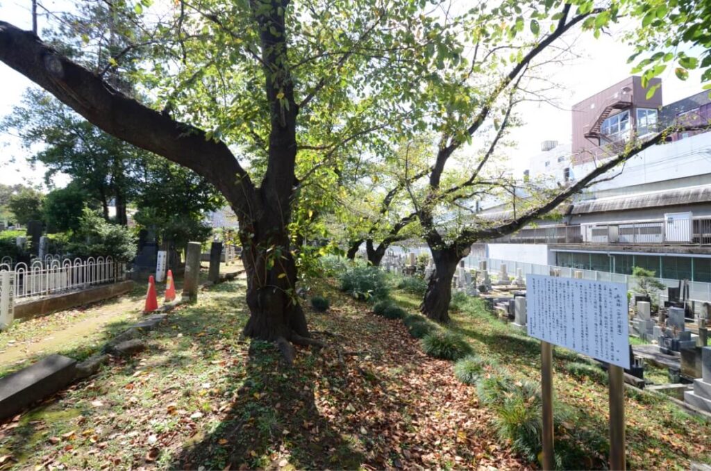 都立染井霊園