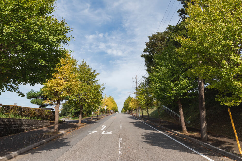 市川市営市川市霊園