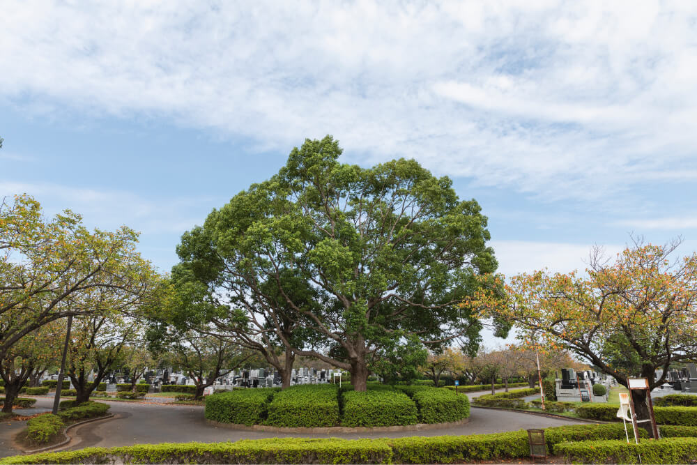 市原市営能満墓園