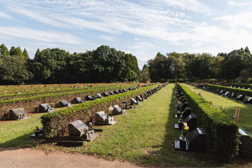 千葉市営平和公園