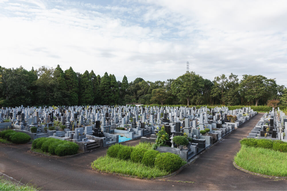 千葉市営平和公園