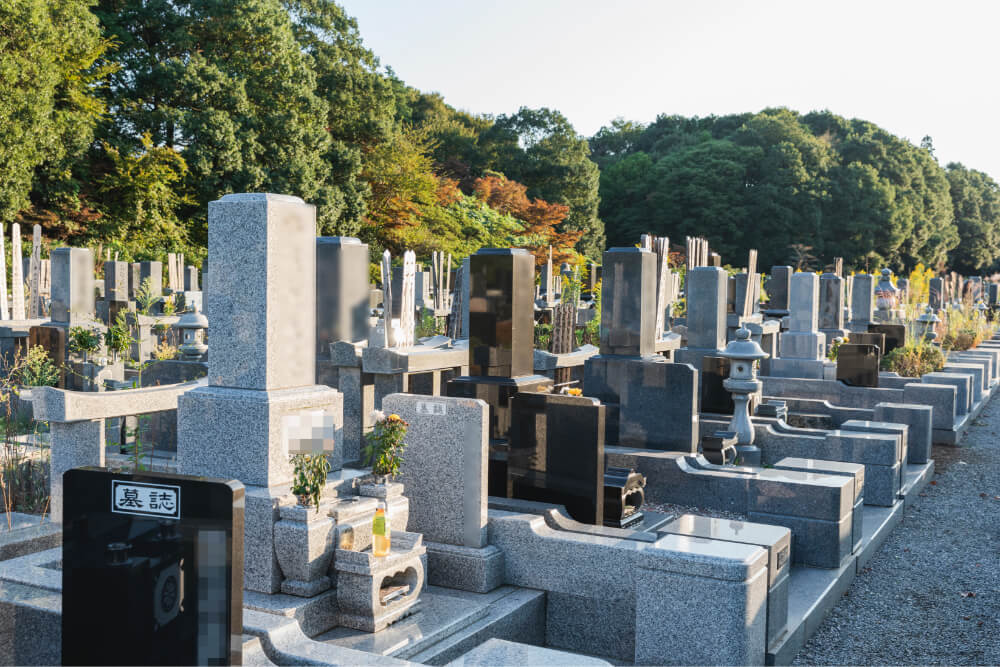 松戸市営白井聖地公園